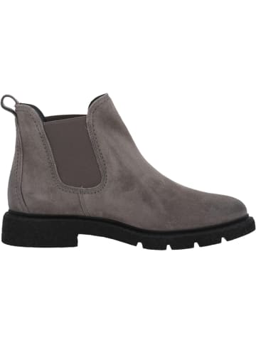 Paul Green Stiefeletten in Grau/Titan
