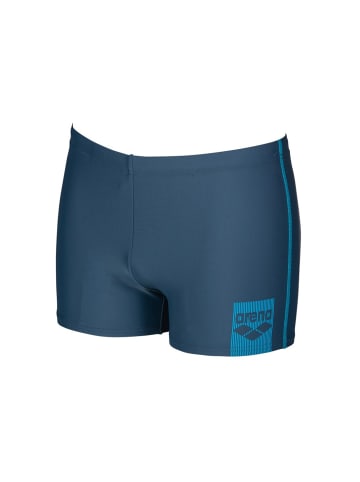 Arena Badehose in Grau