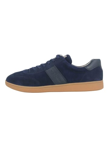 Pius Gabor Sneaker in Blau