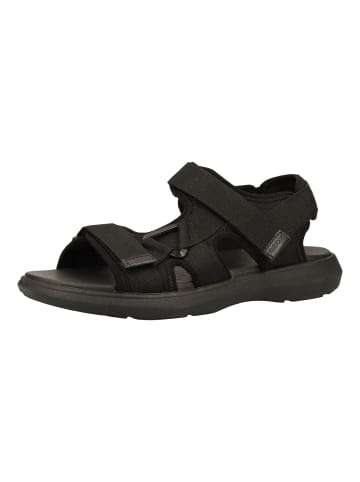 Geox Sandalen in Schwarz