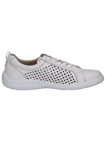 Caprice Sneaker in WHITE NAPPA