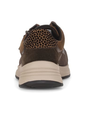 Gabor Comfort Sportliche Schnürschuhe in Braun