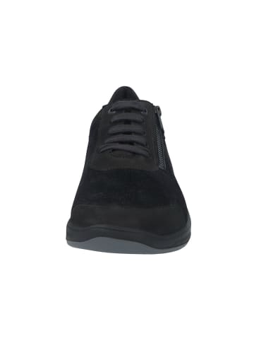 Solidus Sneaker Low in schwarz