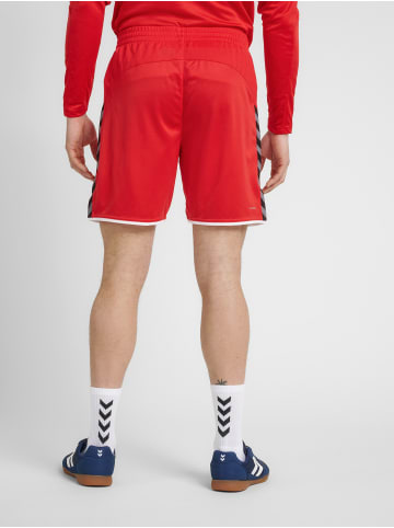 Hummel Verstellbare Taille Zubehör Hmlauthentic Herren in TRUE RED