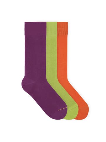 von Jungfeld Classic Socken-Set Signature Innenbund in Gelato