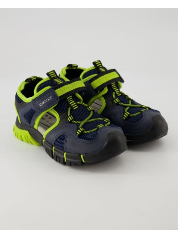 Geox Klettschuhe in Blau