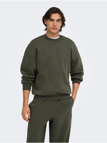 ONLY & SONS Sweatshirt in Beluga