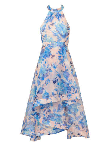 Adrianna Papell Cocktail Kleid Floral Organza Ankle Dress in Blush/Blue Multi