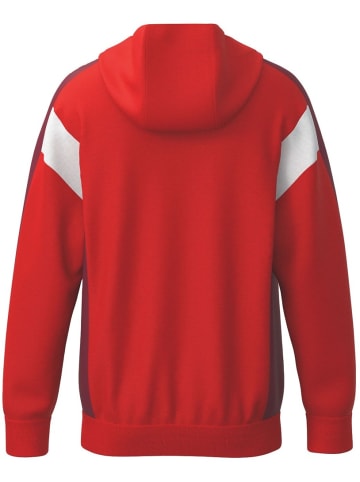 erima Kinder Trainingsjacke "Celebrate 125 Training Jacket With Hood" in Rot