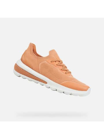 Geox Sneaker für Damen in orange