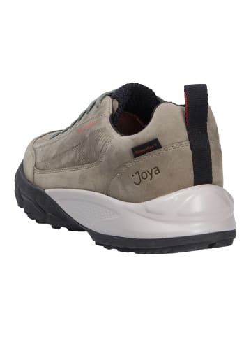 Joya Schnürschuh OBERSTDORF STX GREEN in grün