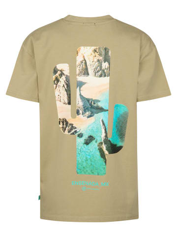 Petrol Industries T-Shirt mit Rückenprint Sol in Braun