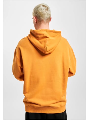 Puma Puma Kapuzenpullover in orange
