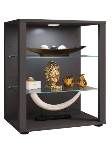 VCM  Holz Glas Stand Vitrine Sammelvitrine Glasol L in Anthrazit