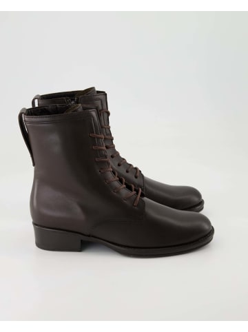 Gabor Schnürstiefeletten in Braun