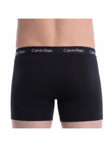 Calvin Klein Boxershorts in Multicolored