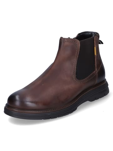 Camel Active Chelsea Boots in Braun