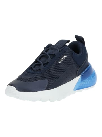 Geox Sneaker in Navy