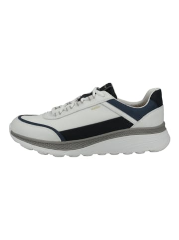 Geox Sneaker Weiß/Navy