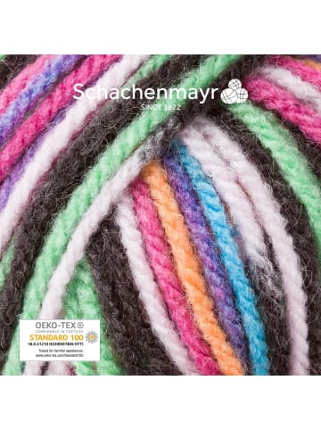 Schachenmayr since 1822 Handstrickgarne Bravo Color, 50g in Sydney