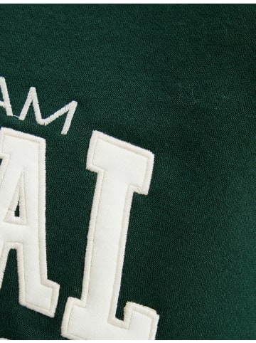 KOTON Sweatshirt in Grün