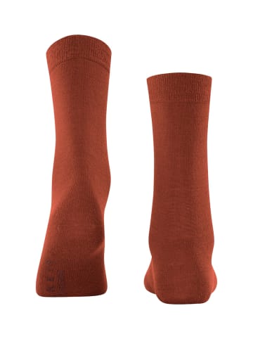 Falke Socken Softmerino in Terra