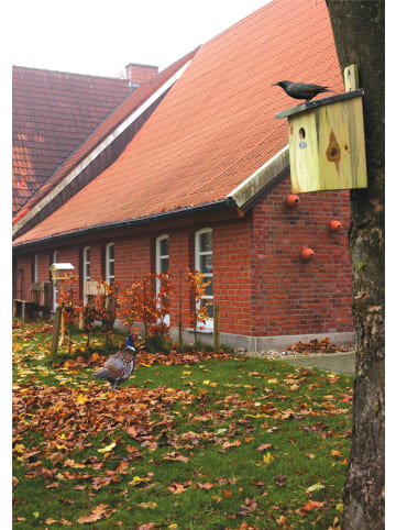 Esschert Design Vogelhaus in terracotta