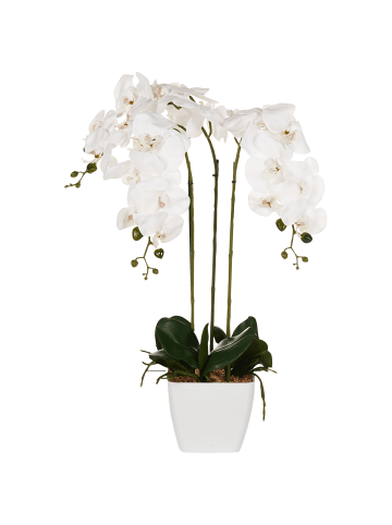 Beliani Kunstpflanze ORCHID in Grün/Weiß - (W) 22 x (H) 59 x (L) 22 cm