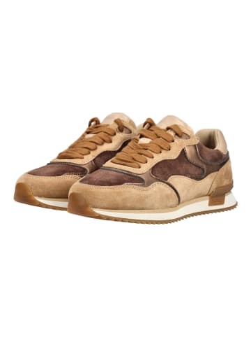 Gabor Sneaker in Walnut