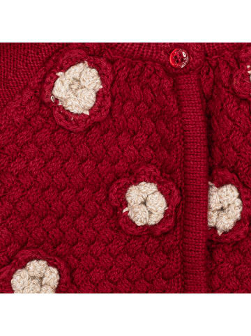 Tutto Piccolo Übergangsjacke in Bordeaux
