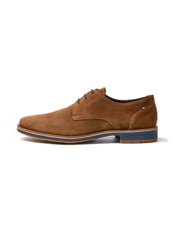 LLOYD Businessschuhe in Braun