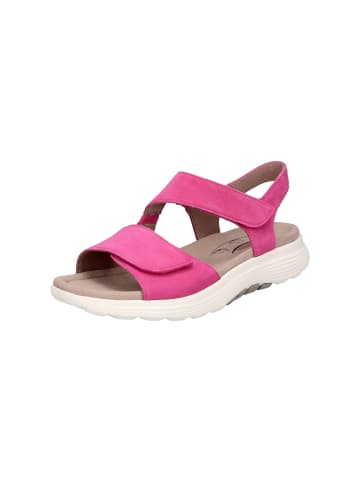 Gabor Comfort Sandale in Pink