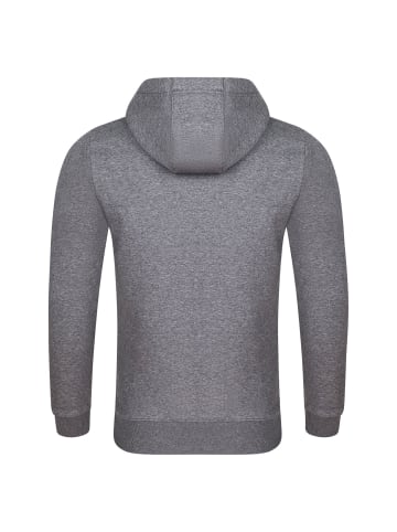 riverso  Pullover RIVNiklas in Grau