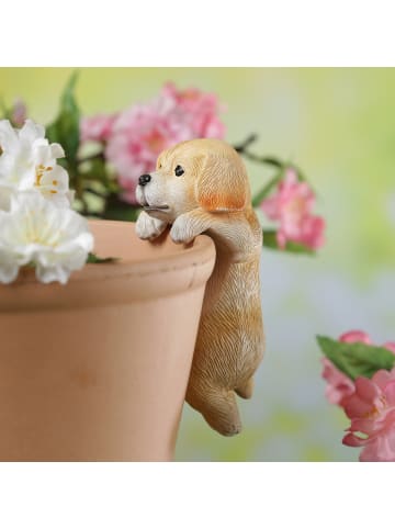 MARELIDA Blumentopfhänger Hund Gartenfigur als Topfhänger H: 11,5cm in braun