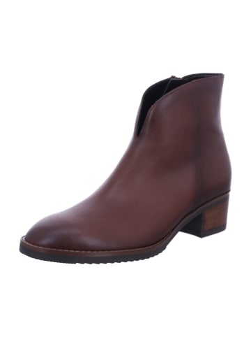 Gabor Stiefelette in braun