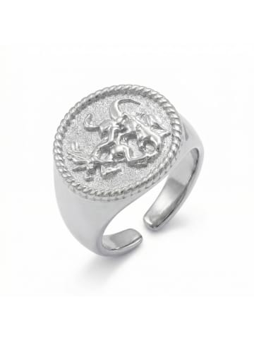 Steel_Art Siegelring Herren Rurik silberfarben poliert in silberfarben poliert