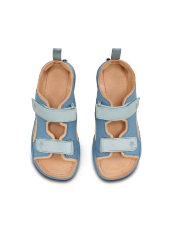 Affenzahn Affenzahn Sandale Leder Airy Hai Größe 29