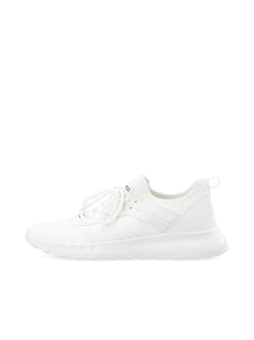 Bianco Sneakers in Off White