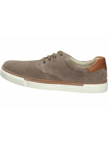 Gabor Sneaker für Herren in braun