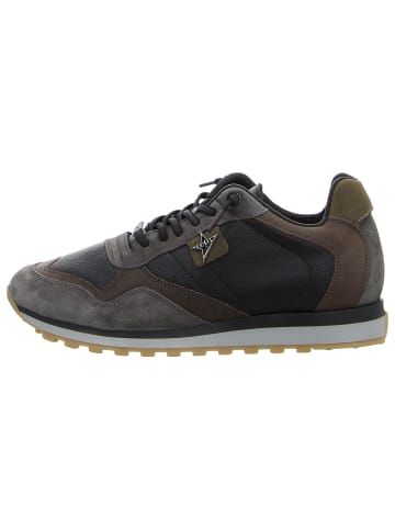 Cetti Sneaker in schwarz