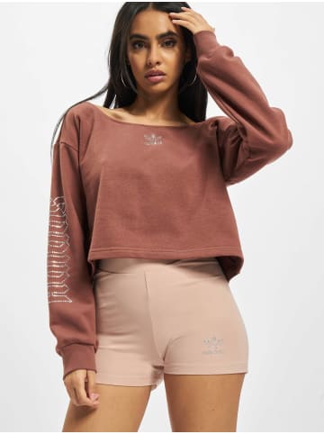 Adidas originals Adidas originals Hoodie in brown