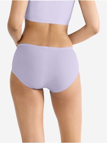 Sloggi Midislip Originals Basic in MULTIPLE COLOURS 19