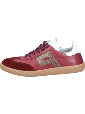 Piazza Sneakers Low in bordeaux
