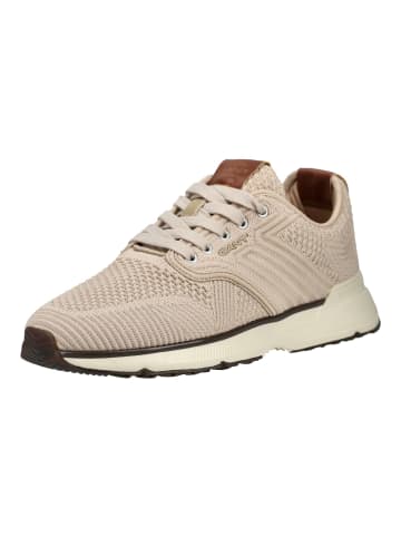 GANT Footwear Sneaker in Taupe
