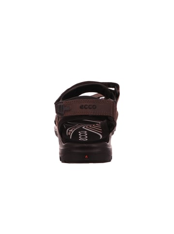 Ecco Outdoorsandalen Offroad in MOCHA/MOCHA