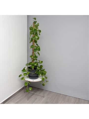 relaxdays 5x Kokosstäbe in Natur - 90 cm