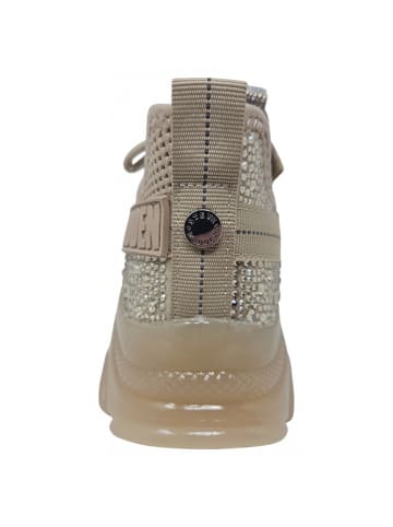 Steve Madden Sneaker Maxilla - RE in Beige