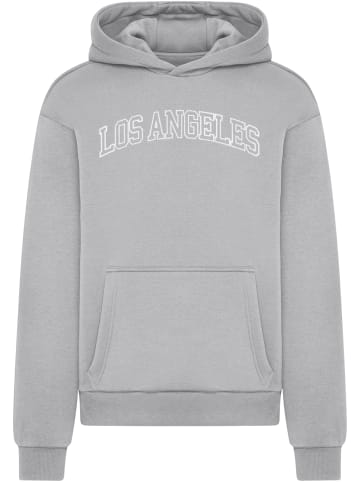 Mister Tee Mister Tee Los Angeles Fluffy Hoody in lightasphalt