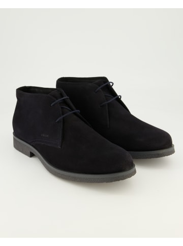 Geox Stiefeletten in Blau