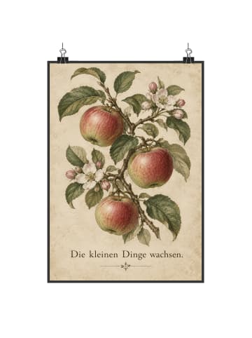 Plakat Apfel botanisch Design mit Spruch in Weiß